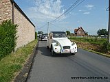 Zandlemig Vlaanderen